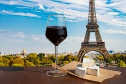 Enchanting Wine Tour Experiences: A Guide for Elderly Travelers Across the Globe