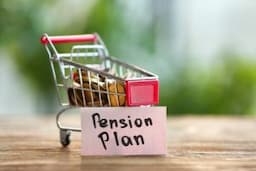 What Is Aasara Pension? Know The Targeted Beneficiaries And Eligibility