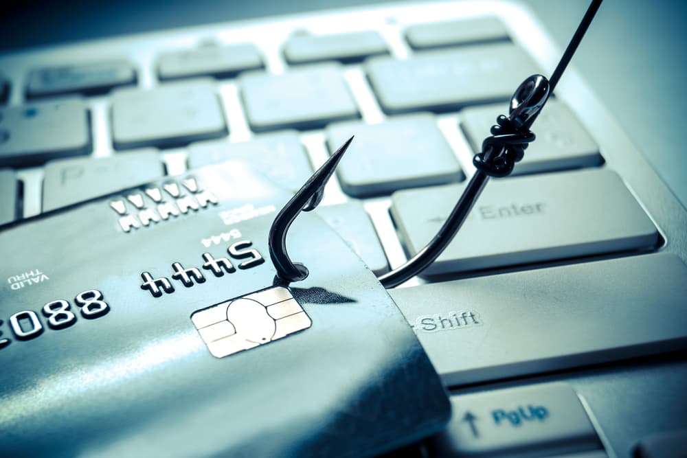 Online Fraud, Cloning, Data Theft