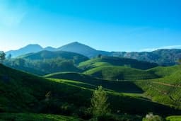 Exploring Munnar: A Guide For Elderly Travellers