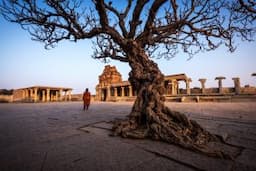 Exploring Karnataka As An Elderly Traveller: A Guide To Timeless Experiences