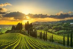 A Guide For Senior Travellers To Tuscany, Italy