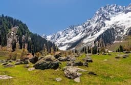 Why Kashmir&#8217;s Sonmarg Is A Perfect Summer Escape For Elderly Travellers