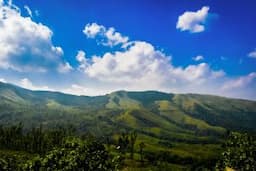 5 Places In Chikmagalur Perfect For Elderly Travellers