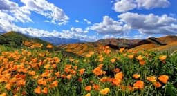 Top 10 Places To Visit In California For Elderly Travellers