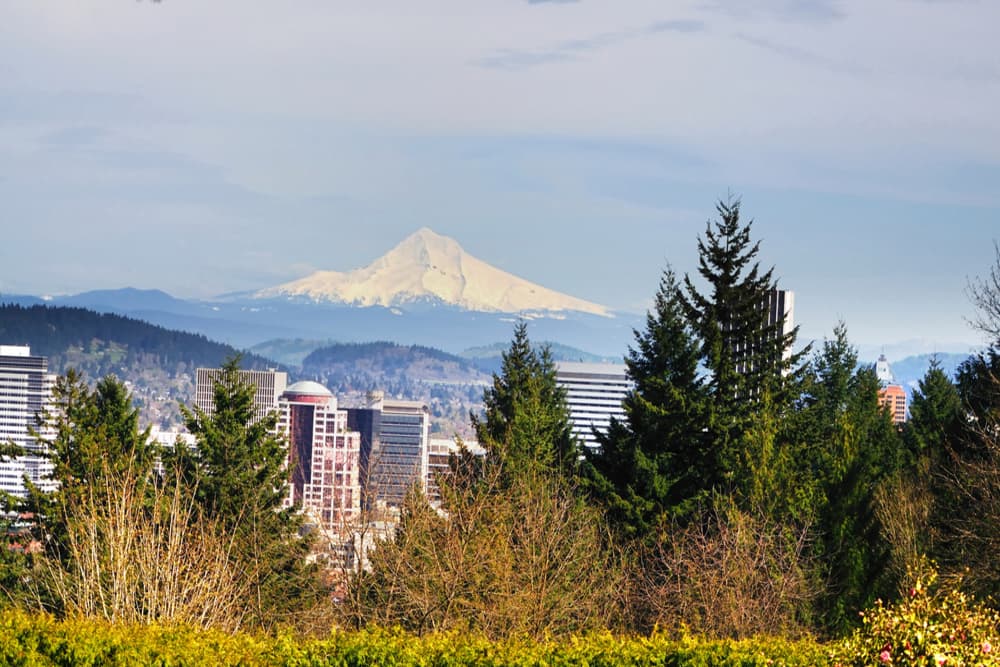 A view from the Washington park, Portland