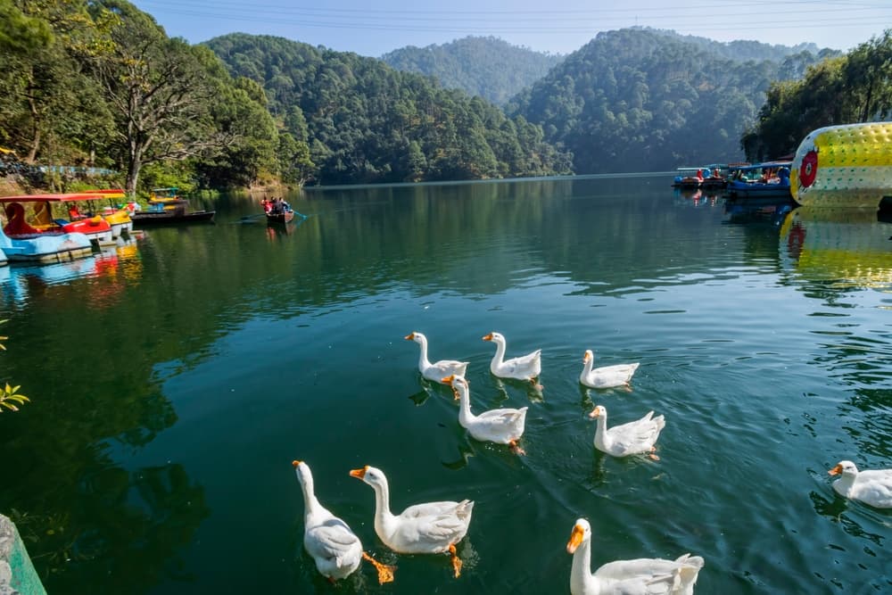 Sattal lake, Nainital, Uttarakhand