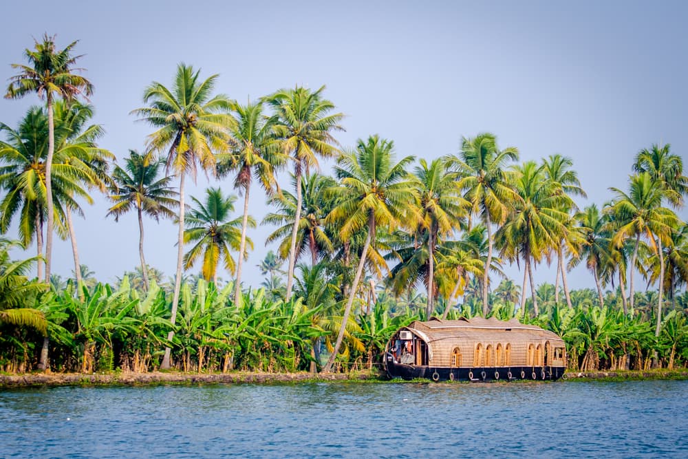 5 Houseboat Escapes For Senior Explorers In Kerala